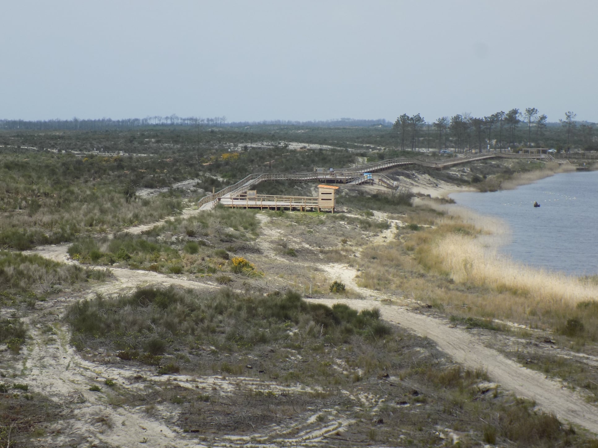 Lagoa da Ervedeira (Concelho de Leiria) Março de 2021