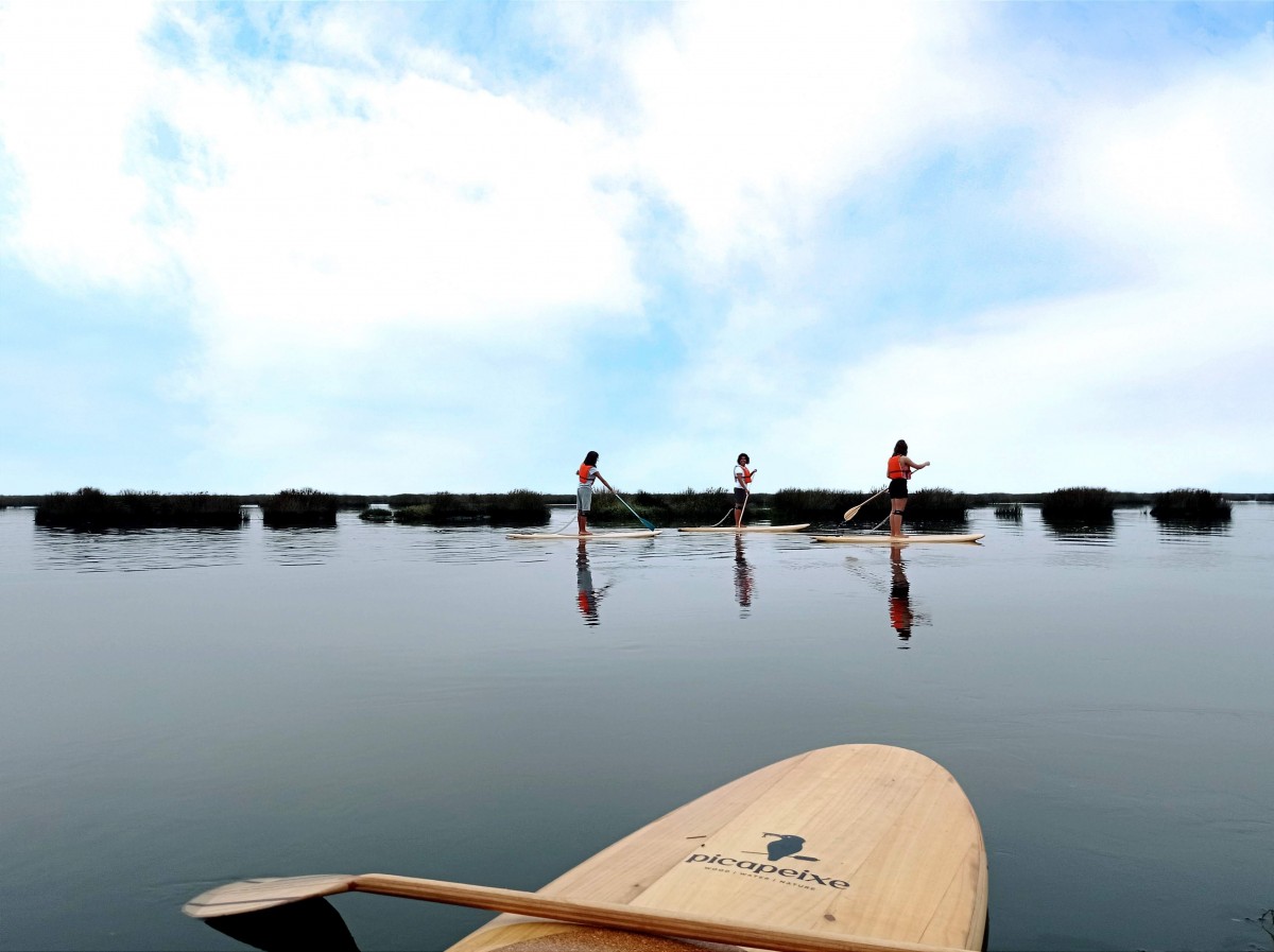 standup paddle