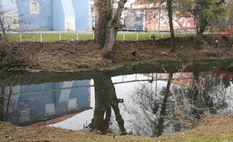 camara-de-leiria-garante-que-intervencao-no-rio-lis-respeita-principios-da-engenharia-natural