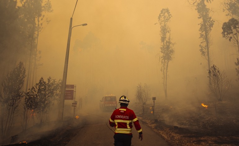 incendios-consumiram-731-hectares-em-leiria