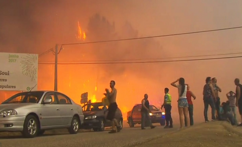 trovoada-seca-e-eucalipto-entre-os-possiveis-culpados-da-tragedia-de-pedrogao-grande-6639