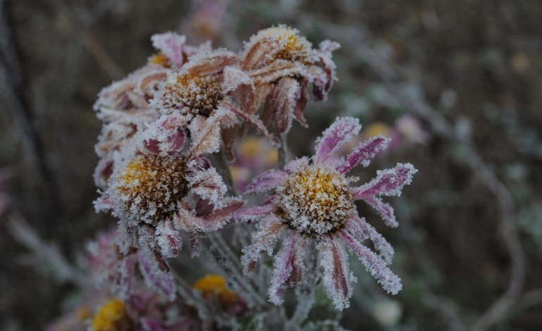 distrito-de-leiria-sob-aviso-amarelo-por-previsao-de-queda-de-neve