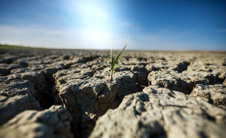 tribunal-europeu-aprecia-queixa-de-jovens-portugueses-que-pode-mudar-futuro-da-accao-climatica