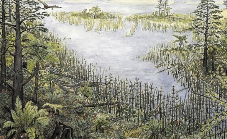 Do livro "Guimarota: A Jurassic Ecosystem", de Thomas Martin e Bernard Krebs. Representação da região da Guimarota há 150 milhões de anos. Imagem cedida por Anabela Quintela Veiga