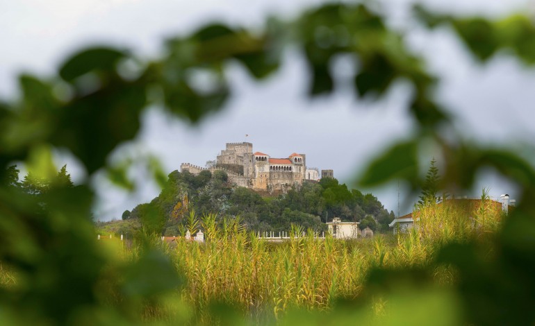 leiria-e-uma-das-tres-cidades-com-maior-qualidade-de-vida-e-nem-foi-preciso-oferecer-uma-malha-de-cachaporra-a-ninguem