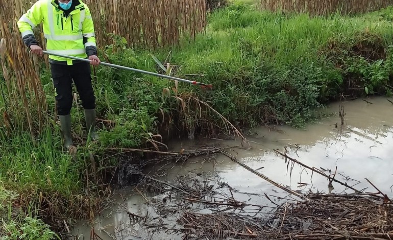 servico-de-vigilancia-ambiental-de-leiria-regista-254-ocorrencias-num-ano