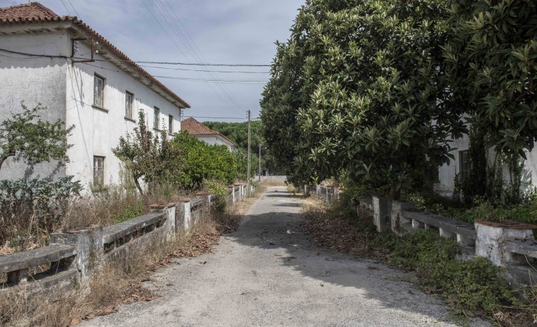 com-42-casas-vazias-bairro-da-prisao-continua-sem-plano-de-recuperacao