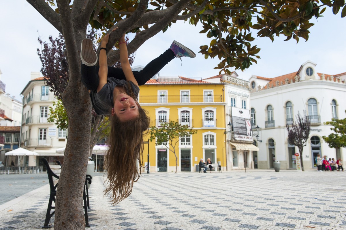 praca-rodrigues-lobo-2015