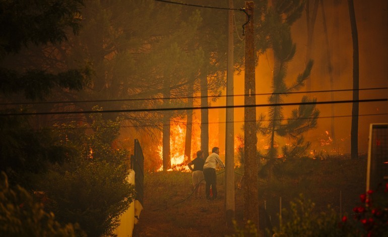 na-ultima-decada-ha-um-criminoso-a-provocar-ignicoes-atras-de-ignicoes-na-zona-da-caranguejeira-e-arrabal