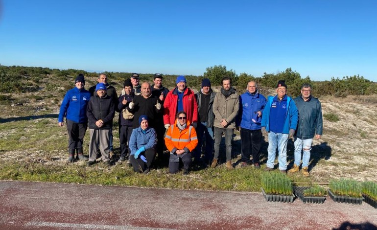 Núcleo de Desportos Motorizados plantou 1200 árvores para compensar pegada carbónica do Verde Pino