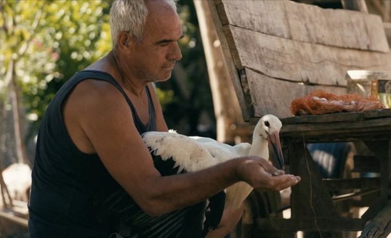 hadoc-o-conto-de-silyan-um-homem-em-busca-de-um-lar