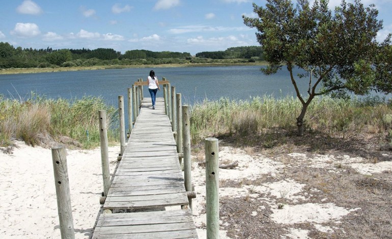 incendio-ajuda-a-requalificar-lagoa-de-ervedeira-8267