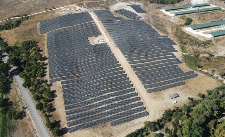 lusiaves-investe-10-milhoes-de-euros-em-parque-fotovoltaico-em-soure