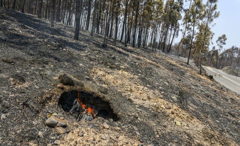 ourem-com-60-ignicoes-so-este-ano-a-maioria-de-origem-criminosa