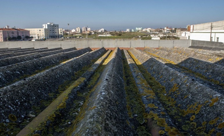 municipio-de-leiria-gasta-613-mil-euros-para-remover-amianto-em-oito-escolas
