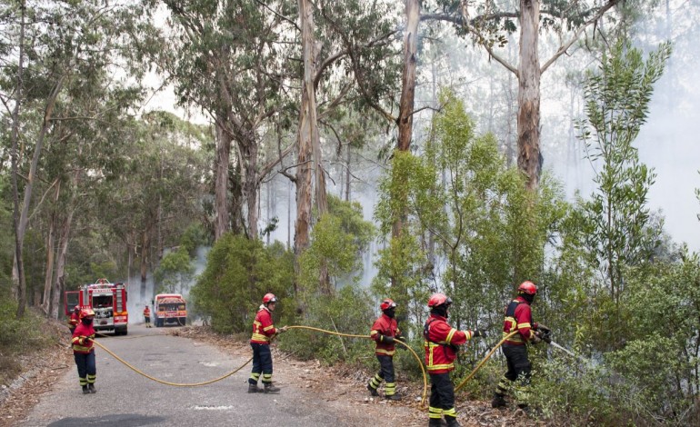 cordao-humano-e-manifestacao-contra-atrocidades-provocadas-pelos-fogos-7362