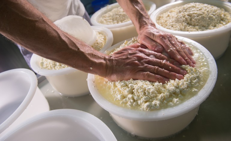 queijo-do-rabacal-debate-se-com-a-falta-de-promocao