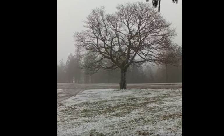 Queda de neve em Castanheira de Pera