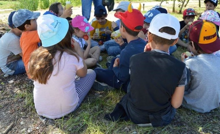 camara-de-alcobaca-previne-obesidade-infantil-com-projecto-estou-na-linha