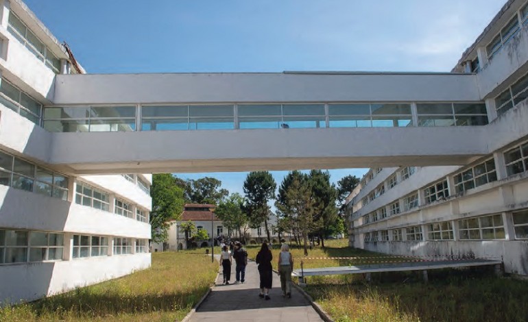 directora-esad-renuncia-docentes-politecnico-leiria-mais-horas