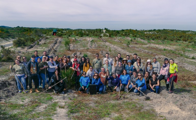 colaboradores-da-cuf-reflorestam-pinhal-de-leiria