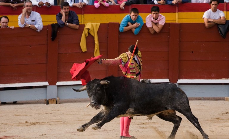 tourada-fora-da-programacao-cultural-da-rede-cultura-2027-10777