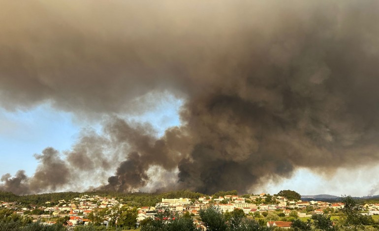 fogos-em-leiria-presidente-da-camara-fala-em-mao-criminosa