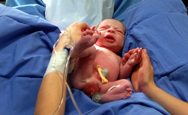 nasceram-mais-101-bebes-na-maternidade-de-leiria