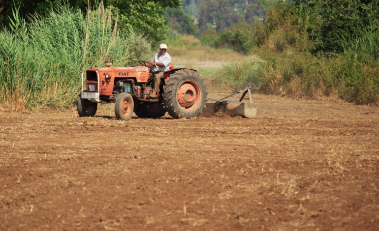 agricultores-apelam-a-escoamento-da-producao-agricola-e-florestal-do-distrito-com-manifestacao-em-porto-de-mos