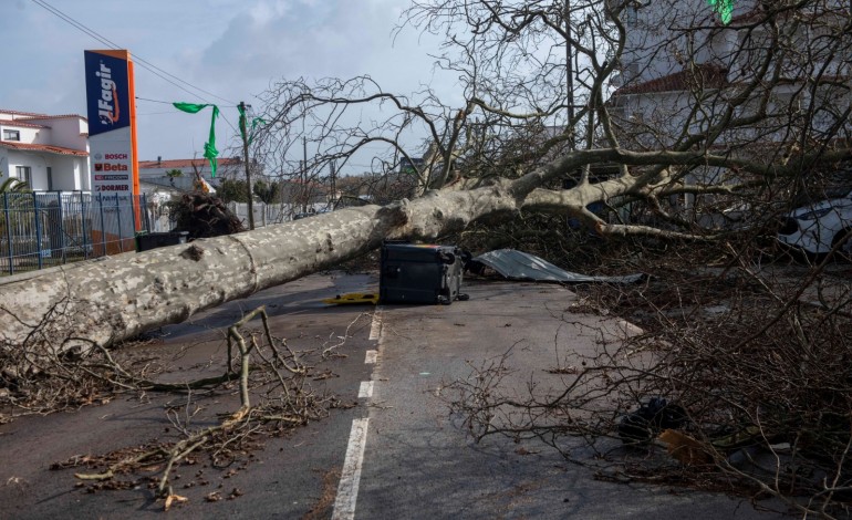 empresaria-pede-patrulhas-para-evitar-saques-na-marinha-grande