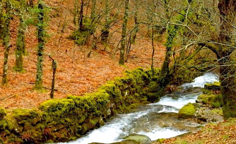 castanheira-de-pera-iniciou-construcao-de-passadicos-na-ribeira-de-quelhas