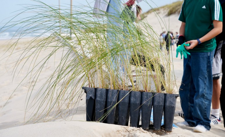 mil-alunos-e-professores-tornam-se-guardioes-das-dunas-na-praia-do-pedrogao