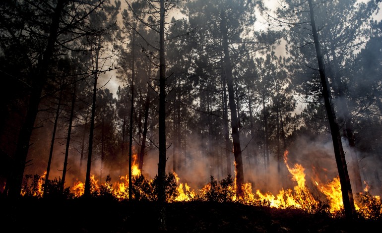 tres-focos-de-incendio-mobilizam-cinco-meios-aereos-no-coimbrao-7420