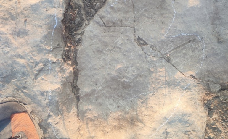estudo-em-ansiao-revela-rastos-de-dinossauro-com-170-milhoes-de-anos