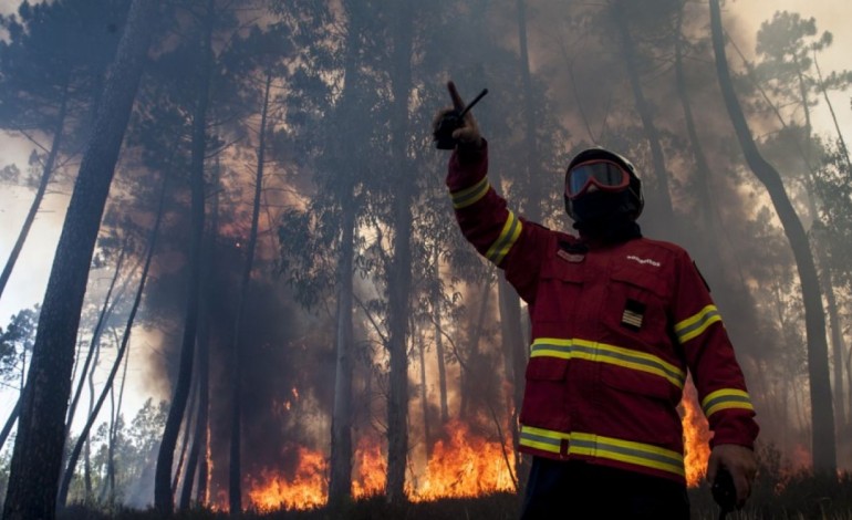 vento-forte-esta-a-alimentar-incendios-junto-a-burinhosa-em-direccao-a-sao-pedro-de-moel-7331