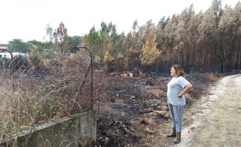 pj-incendio-do-pinhal-de-leiria-tera-comecado-num-terreno-com-lixo-e-tera-sido-uma-reactivacao-7410