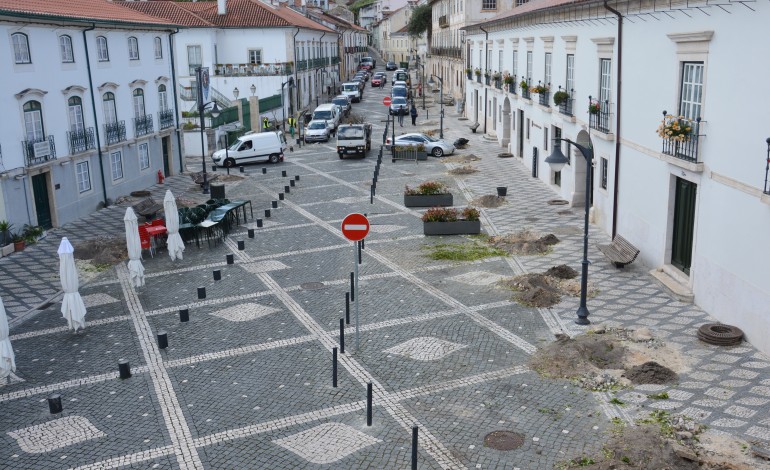 camara-de-leiria-invoca-seguranca-para-cortar-40-laranjeiras-no-terreiro-3731