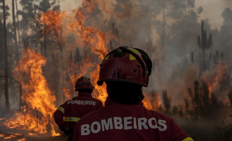 mais-de-60-bombeiros-combatem-incendio-em-mato-na-gandara-dos-olivais-4763