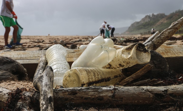 exposicao-promove-consciencializacao-das-alteracoes-climaticas-nos-bens-e-servicos-do-oceano