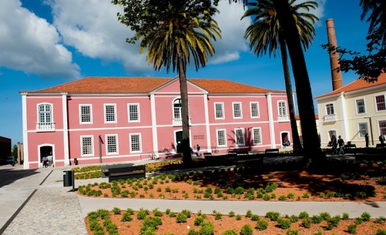 bibliotecas-municipais-de-leiria-e-marinha-grande-emprestaram-quase-46-mil-livros-no-ano-passado