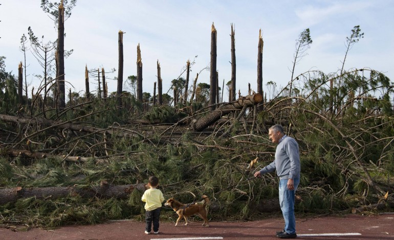 “Isto está tão triste, tão triste”. Rui Alves junto ao parque de merendas da Portela