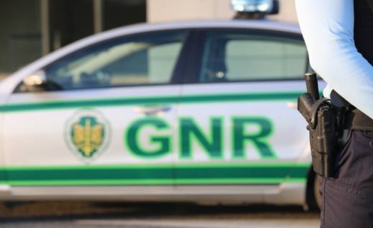 gnr-deteve-nove-pessoas-por-trafico-de-espefacientes-e-tres-delas-ficam-em-prisao-preventiva