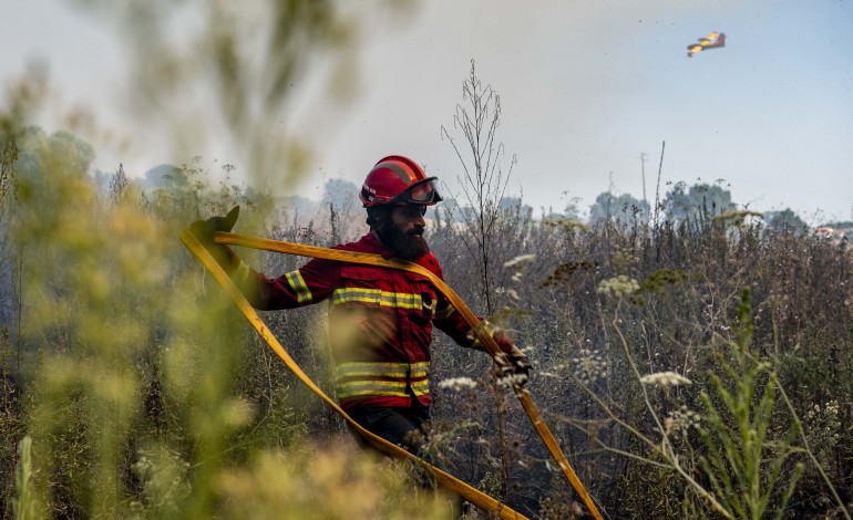 fogo-em-santa-catarina-da-serra-mobiliza-120-operacionais-e-corta-en-113