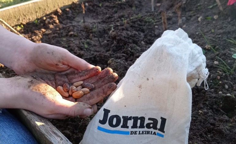 Várias eco-escolas do concelho de Leiria aceitaram o desafio do Jornal de Leiria