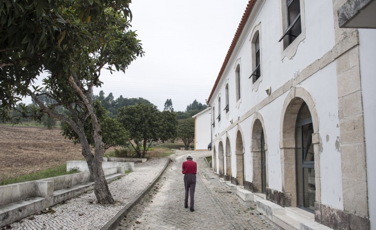 Unidade dos Andrinos está a ser remodelada e ampliada