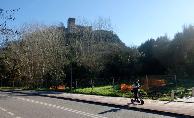 camara-de-leiria-substitui-arvores-da-encosta-do-castelo