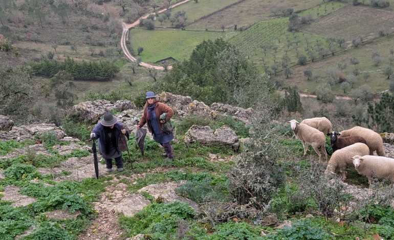 João Forte caminhou cerca de 1700 kms sem sair de Ansião
