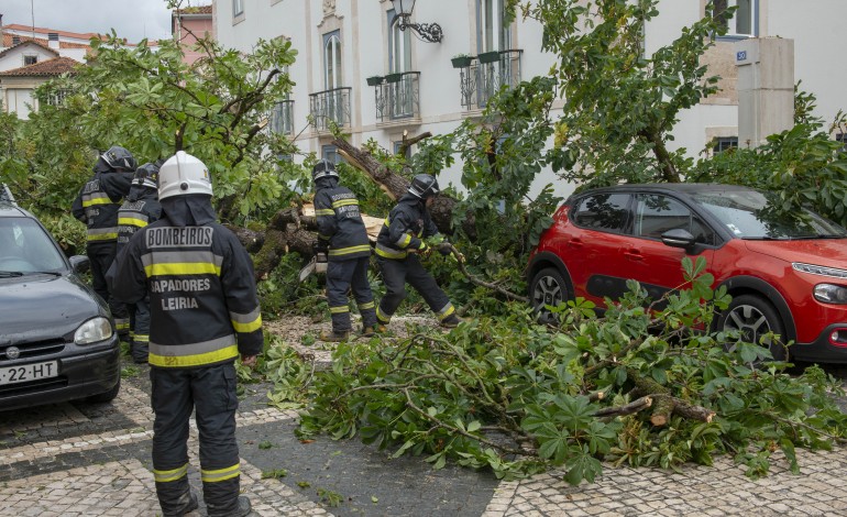 Árvore caiu hoje pelas 11:30 horas