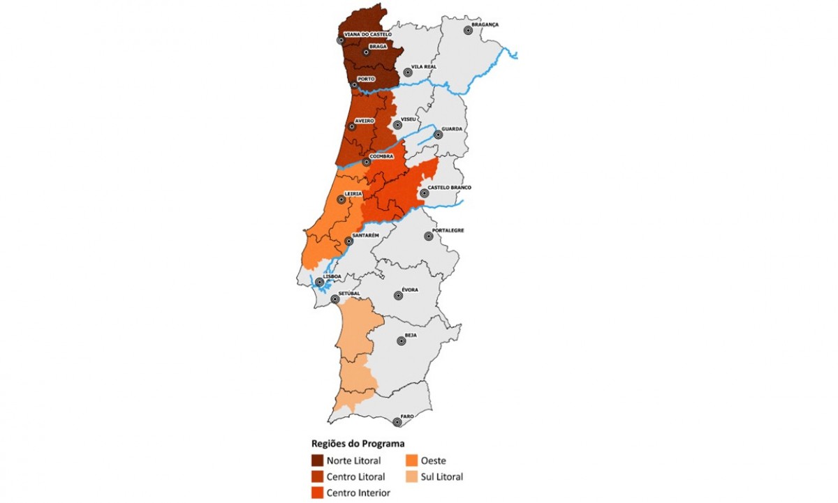 Zona preferencial de actuação do programa melhores eucaliptos