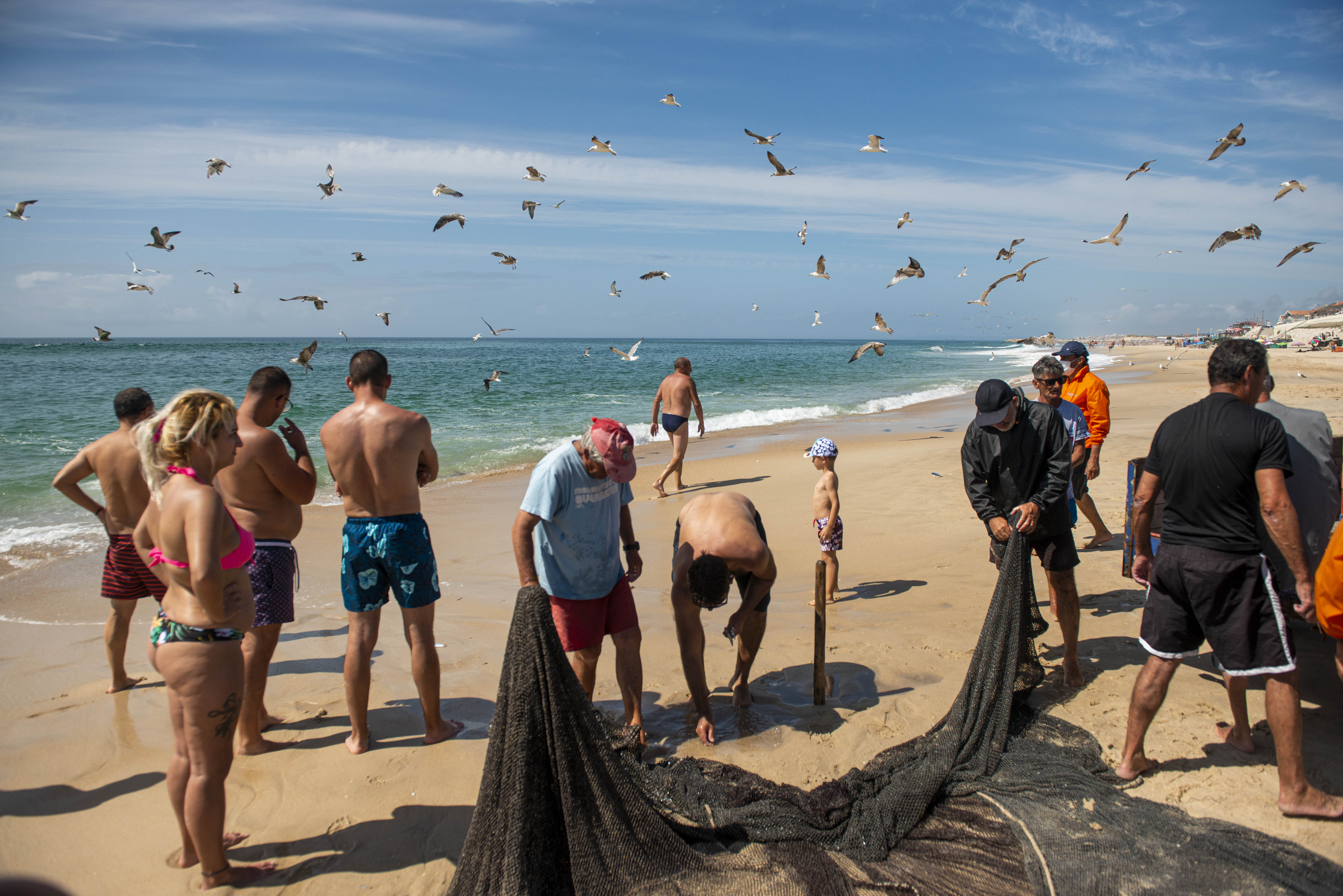 Arte xávega na Praia da Vieira